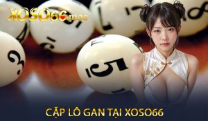 Cặp lô gan tại Xoso66