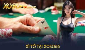 Xì tố tại Xoso66